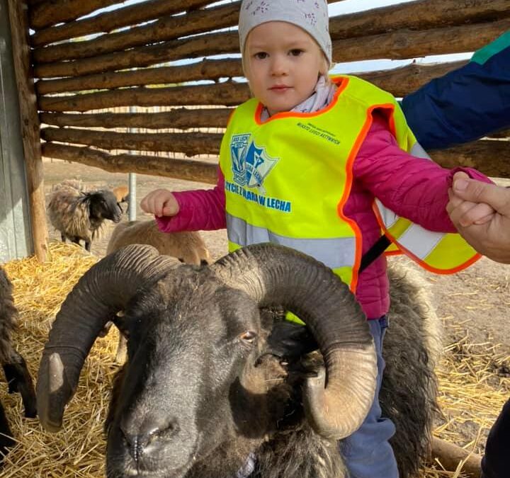 Wycieczka do Ulejna